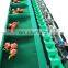 China Manufacturer Mango Fruit Grading and Sorting Machine Price