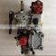 Original diesel engine parts  pump for fuel injection 4951495 3419492 NTA855