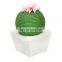 Sisal cactus cat scratcher ball toy scratching ball for cat claw and teeth grinding