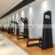 gym fitness machine / Handle rack from China Shandong LZX fitness