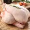 2021 Best Sale A Grade Quality Halal Frozen Chicken Meat