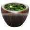 Indoor & Outdoor ceramic glazed pottery plant pot