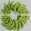 Wholesale IQF Green Soy Beans
