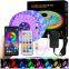 Customized SMD5050 10m Long WS2811 Digital Rgb LED Strip Kit LC8806 Waterproof RGB 24key LED Strip Kit