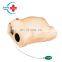 HC-S303 Senior Computer Pregnant Women Check Model/ Examination Model, Female Nursing Manikin