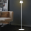 SS-964A Cordless Floor Lamp