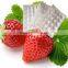 white color lightweight PE strawberry foam tray