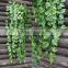 High quality Climbing plants /IVY for wall decoration