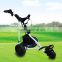 Electric remote control golf cart with CE certificate DG12150-B