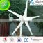 2015 new model 300w 12/24v wind generator on the rooftop made in china