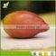 high simulation decorative wholesale home decoration artificial fruit mango for sale