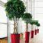 Small Potted Artificial Banyan Tree