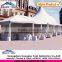 Guangzhou manufacture Best sell high peak structure tent