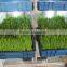 Hydroponics Animal Fodder Machine is full automatic wheat, barley, alfalfa