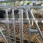 Good quality Animal feeder equipment cattle headlocks