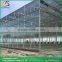 Venlo roof type best greenhouse glass greenhouse supplies