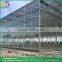 Venlo Roof Type Best Greenhouse Glass Greenhouse Supplies