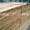 Eucalyptus Veneer