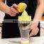 Custom Unbreakable Glass Water Bottle Lemon Cups Eco Fruit Infuse Glass Tea Infuser Cup