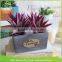 Home Office Wall Hanging Decor Vertical Garden Art Floral Terrarium cheap aloe potted artificial plant with roots