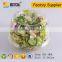 Eco Friendly PET disposable plastic vegetable and fruit salad packaging