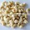 Colorful Coated Roasted Cashew Nut Healthy Snacks Hot Sell With Certificates