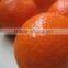 Fresh Oranges , fresh fruit and fresh oranges Citrus sweet mandarin orange ,