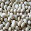 wholesale price of beans, types of kidney beans ( white kidney beans, red kidney beans, black kidney beans)