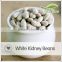 Chinese White Haricot Beans Wholesale