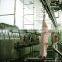 Sheep Slaughterhoue Abattoir Eqipment For Viscera Conveying