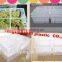 the decoration plastic baby chicken transport box for logistic with truck