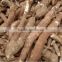 we supply big capacity cassava peeling machine +8618637188608