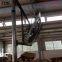 Dairy   cowhouse  Hanging cow  fan