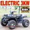 3000W 72V Electric Quad Bike