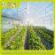 Hydroponic Greenhouse Systems/Selling Used Greenhouse For Agriculture And Horticulture