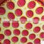 2017 hotsell European style Shawl and fashion pizza beach mat