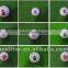 bulk golf gift balls for sale