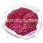 Supplier of Rose Petals