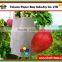 TPBI Taiwan Fruit Bag Mango White Protection Paper Bag Mango Bag Protection