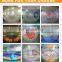 1.00mm transparent PVC colorful inflatable zorbing roller ball on the grass