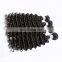  express france deep curly brazilian human hair from chinese online sales site