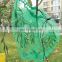 Green PE plastic date palm cover bag with strong black rope