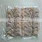 watsapp +86 15140601620 400mm 500mm 600mm width vacuum food sealers packaging machinery