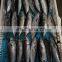 Good price IQF whole round bonito tuna for fishing bait