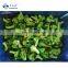 Sinocharm BRC A Approved 3-5cm IQF Fresh Florets Broccoli Frezedry Floret Frozen Broccoli