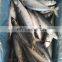 frozen mackerel fish price frozen pacific mackerel fish price japanese mackerel