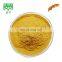 Hot sale fruit powder dried  sea buckthorn fruit powder sea buckthorn extract powder