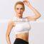 Night Club Wear Sleeveless Stylish Back Zipper Sexy Crop Tops For Women