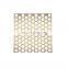 Customization Anodizing Aluminum Hexagonal Hole Shapes Perforated Metal Mesh Sheet
