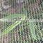 Knitted Agricultural HDPE Anti Hail Net Screenhouse for Plants Protection Fruit Apple Tree with UV 5 years